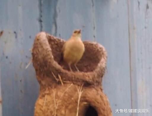 工厂烟囱爬梯悬挂异物工人检查之后无法淡定！(图2)