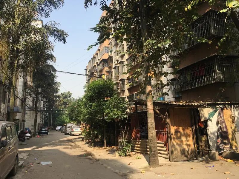 广西柳州：“三无”老旧小区“逆生长”(图3)