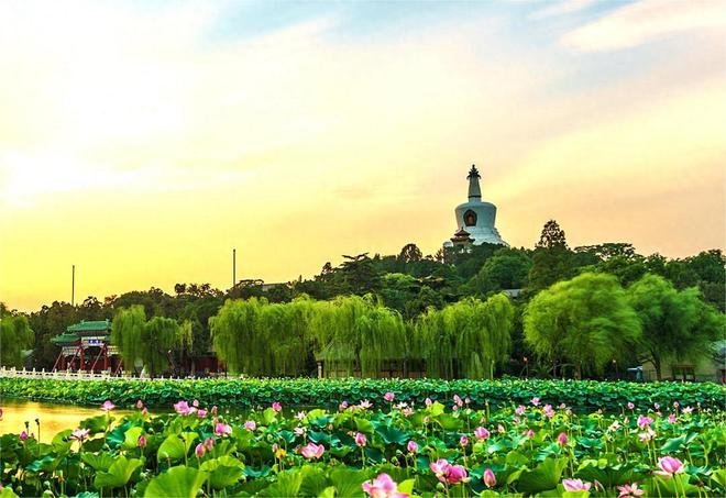 我住院亲家母来看望走时往我被子里塞张卡去查余额后愣了(图14)