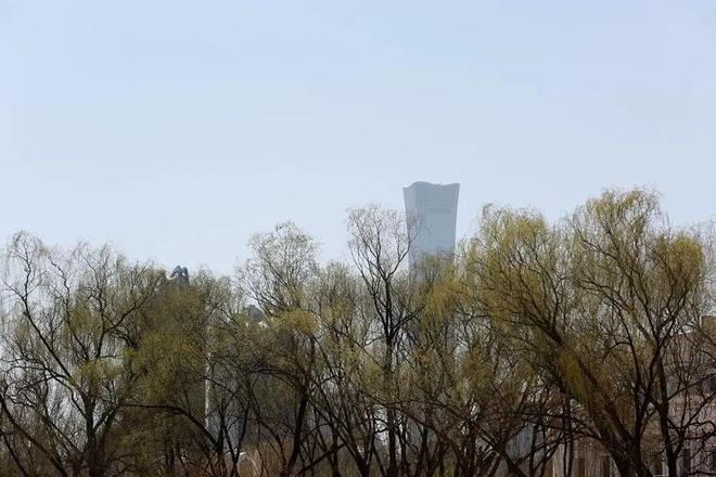 一镜走天下春天休闲漫步北京朝阳公园的惊喜(图4)