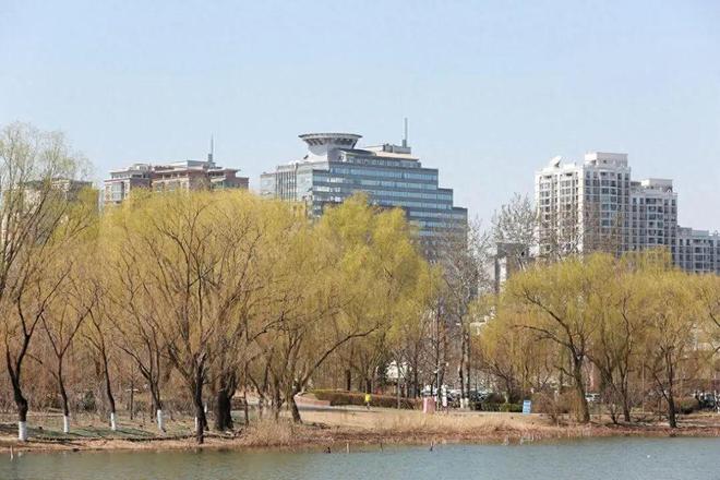 一镜走天下春天休闲漫步北京朝阳公园的惊喜(图1)