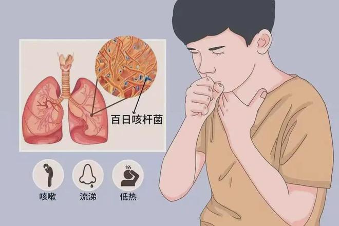 戴口罩!戴口罩!传染性极强长春19个小区将改造长春重要发布(图1)