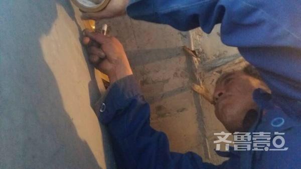 有爱！老农爬梯为燕子加固老巢(图4)