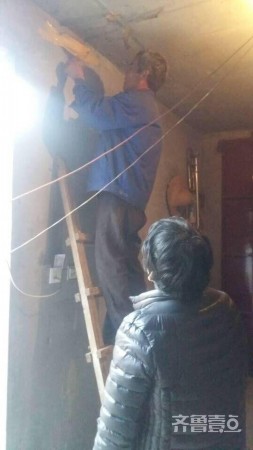 有爱！老农爬梯为燕子加固老巢(图5)
