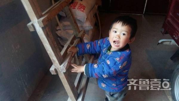 有爱！老农爬梯为燕子加固老巢(图6)