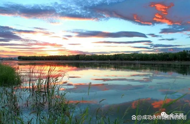 北京和光瑞府售楼处电话→权威发布→首页网站→楼盘详情(图7)