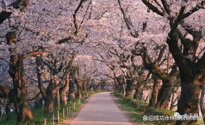 北京和光瑞府售楼处电话→权威发布→首页网站→楼盘详情(图11)